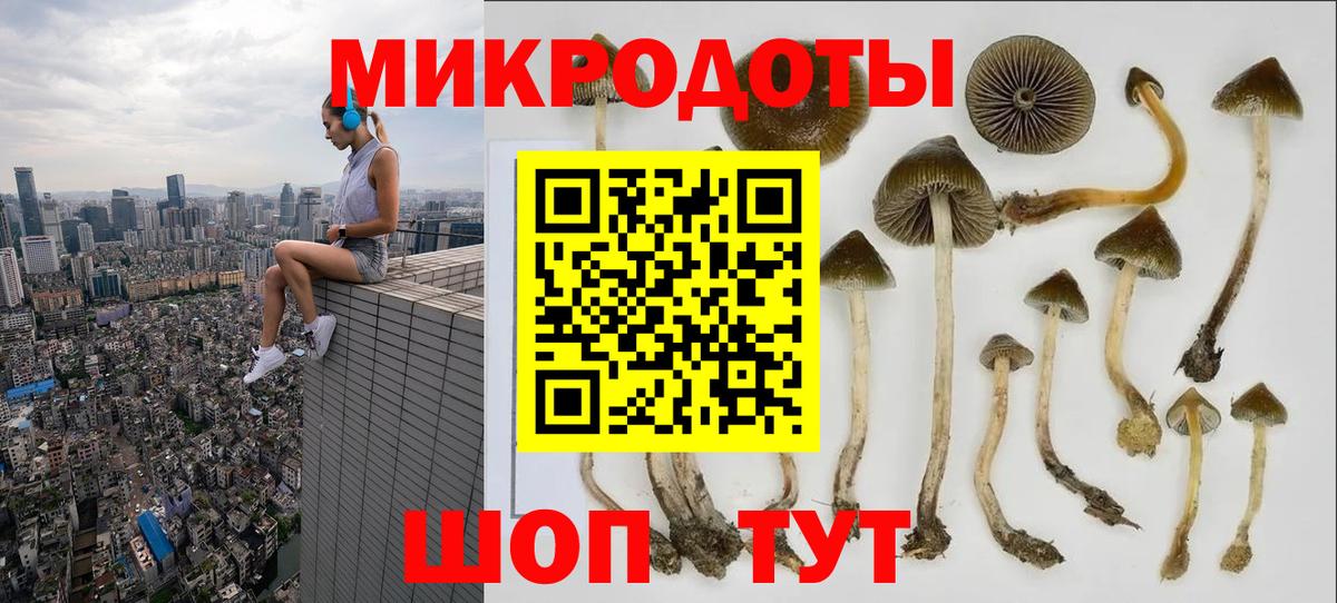 Норильск  Галлюциногенные грибы Cubensis  Псилоцибиновые грибы Psilocybe  Вход с VPN 