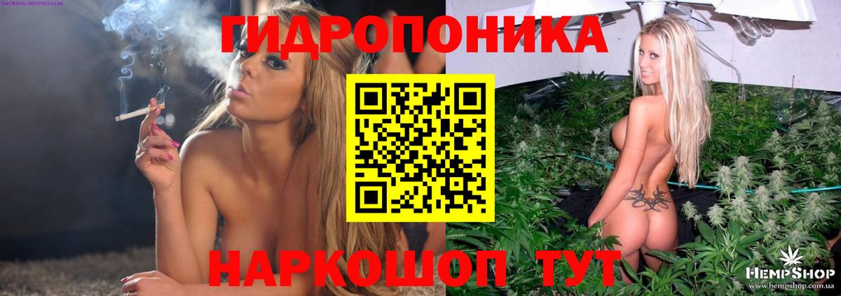 Канабис Amnesia Норильск